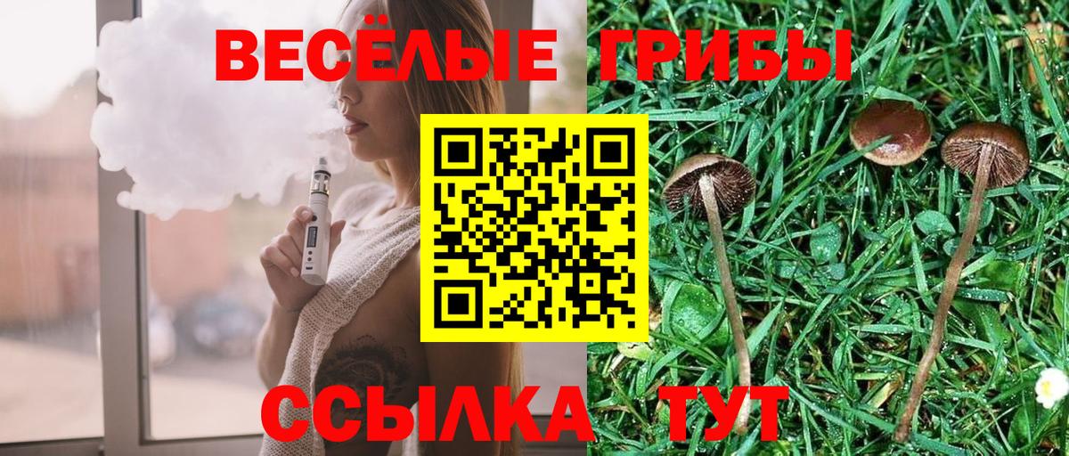 Кумертау  Псилоцибиновые грибы ЛСД  Вход с VPN 