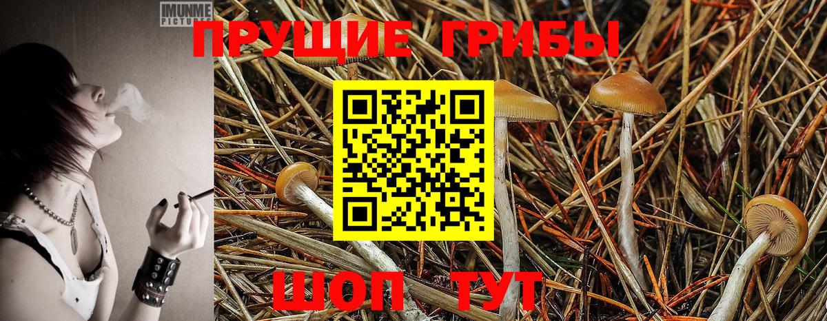 Галлюциногенные грибы GOLDEN TEACHER Кумертау